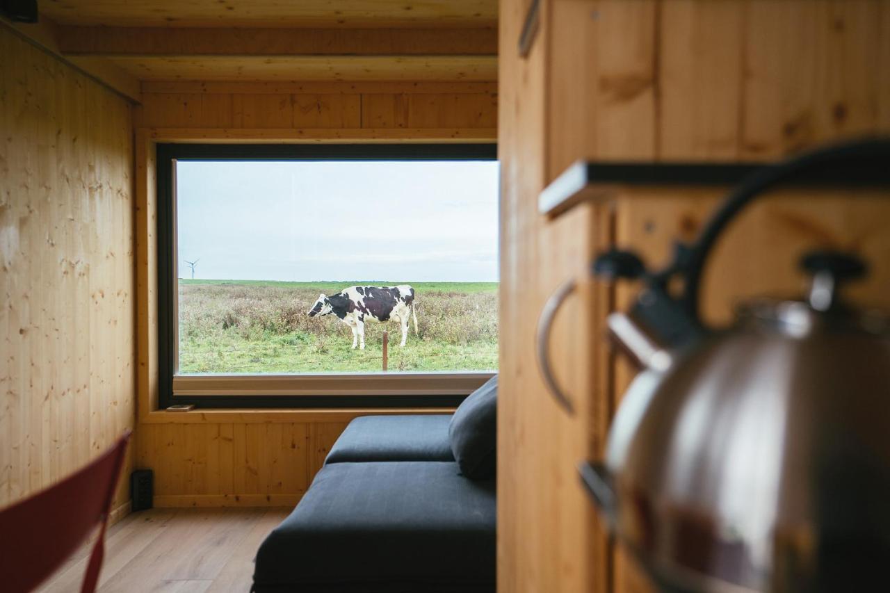 Tiny House Nature 13 Zur Kuhweide - Green Tiny Village Harlesiel Carolinensiel Exterior foto